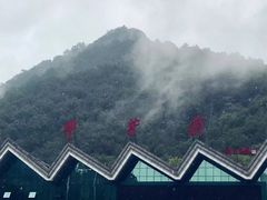 -牛背梁国家森林公园