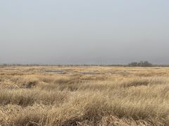 -野鸭湖国家湿地公园