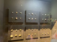 -北京周口店北京人遗址博物馆