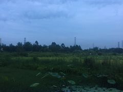 景点-三圣花乡旅游区