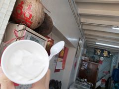 -洪馨椰子