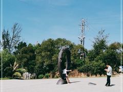 -广东惠东海龟国家级自然保护区