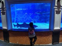 -成都浩海立方海洋公园