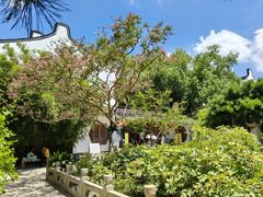 -龙华素斋(龙华路店)