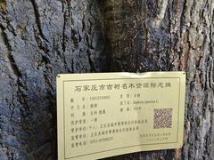 -天宁寺