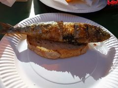 -商业广场(Praça do Comércio)