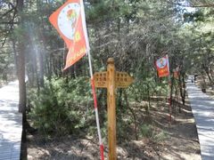 -帽儿山国家森林公园