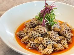 -毗陵醉·黑钻(湖塘店)