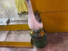 -大自然醉鹅(海珠分店)