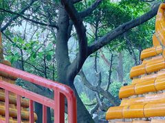-东莞观音山旅游风景区