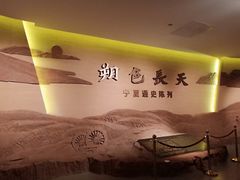 -宁夏博物馆