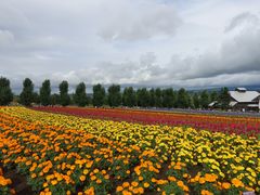 -富田农场