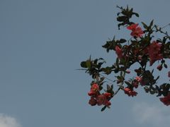 -保利石象湖景区