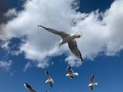 -海埂大坝