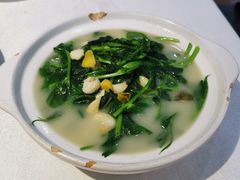 上汤鸡毛菜-峨嵋酒家(清河店)