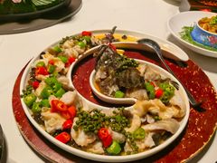 -古韵轩·园林餐厅