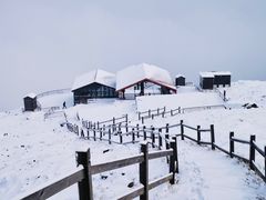 -灵山