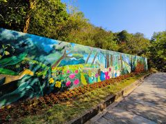 -广州白江湖森林公园