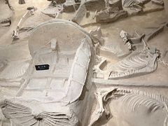 -洛阳周王城天子驾六博物馆