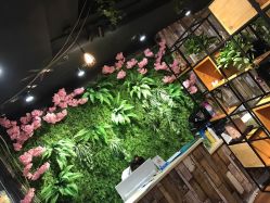 -藤野造型·专业烫染店