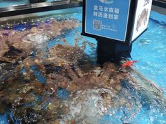 -盒马鲜生(大行宫店)