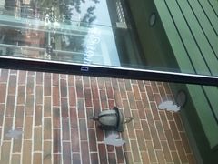 -丹香(乳山利群店)