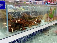 -盒马鲜生(新都心店)