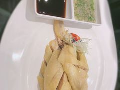 安吉竹林鸡-丰收日(五角场店)