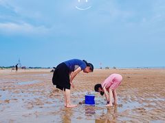 -日照海滨国家森林公园