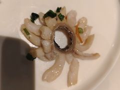 -三猫黑鱼花(南大店)