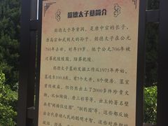 -懿德太子墓