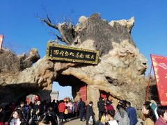 -大槐树寻根祭祖园