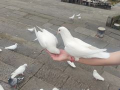 -两江国际影视城