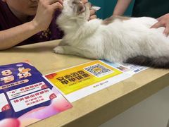 -乖乖宠物医院·猫科·急重症中心(车站北路分院)
