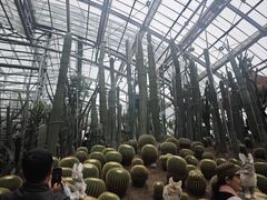 -南山植物园