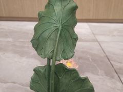 -淄博万象汇