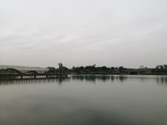 -西京湾花海