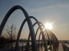 -大兴滨河森林公园