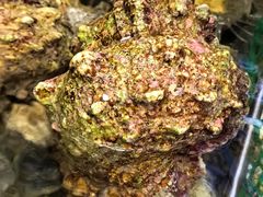 -八方海味餐厅