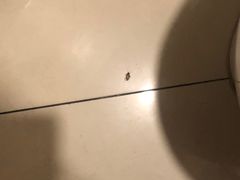 -皇城恒隆广场