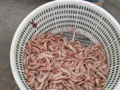 -青岛沙子口国家中心渔港