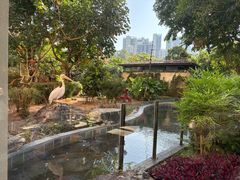 -熊猫自助餐厅.萌趣城堡(长隆熊猫酒店)