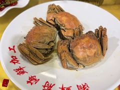 -三亚新鸿港水果一级批发市场