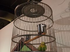 -九朝会昆曲·宴(望京店)