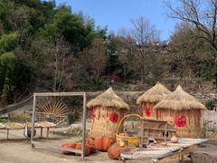 -塔川景区