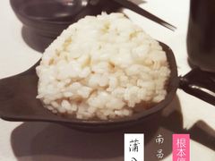 -新仙清汤牛腩(铜锣湾店)