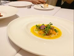 新西兰鳌虾配海胆日本柚子汁-蝶舍·MAISON PAPILLON