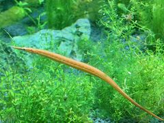 -上海海洋水族馆