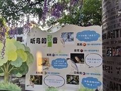 -安亭老街