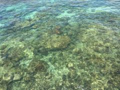 -三亚西岛海洋文化旅游区